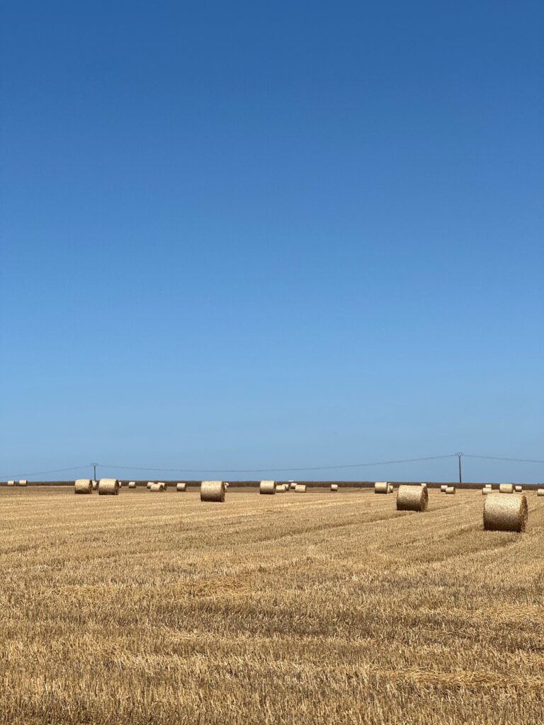 Strohballen Normandie